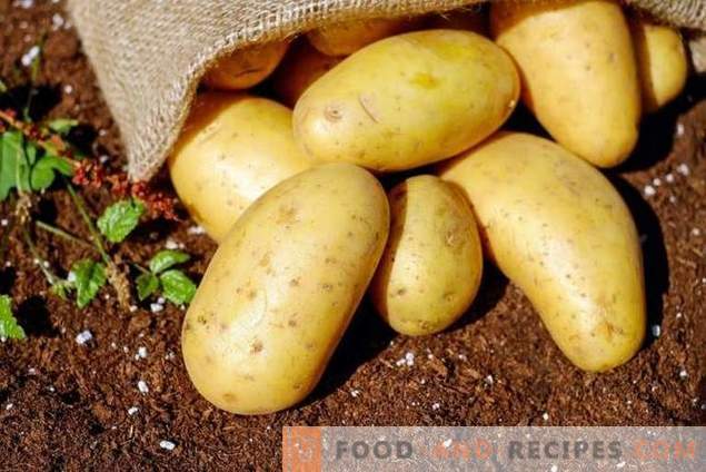 Nebrangių priemonių dėl bulvių paruošimo ligoms ir kenkėjams apžvalga