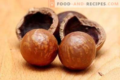 Noix de macadamia: avantages et inconvénients