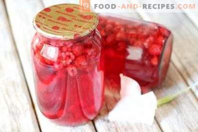 Raspberry Compote for the Winter