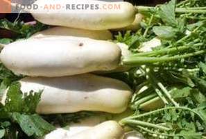 Daikon: useful properties and contraindications