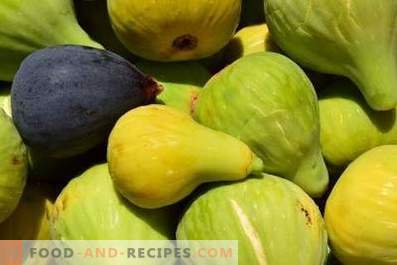 Comment conserver les figues - Food and Recipes
