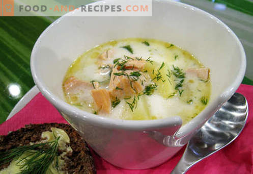 Makrelsoppa - de bästa recepten. Hur till rätt och god kokssoppa och makrill.