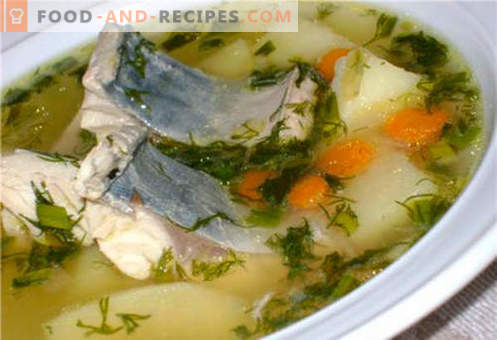 Makreles zupa - labākās receptes. Kā pareizi un garšīgi pagatavot zupu un makreles.